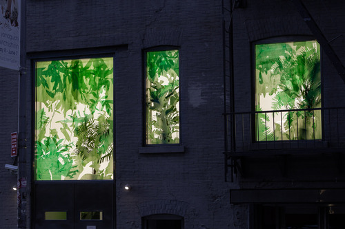 Planted, Naomi Reis windows installation at Mixed Greens